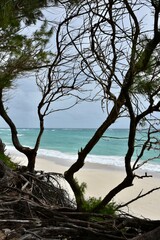 Scenic view of Silver Sands Beach, Barbados