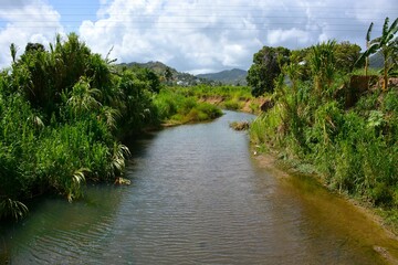 View of calm river water surrounded by green vegetation © Wirestock