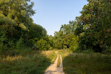 a narrow path in the park in the morning
