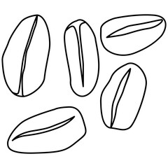 Oat line art. Vector element with vegetarian theme. Illustration.