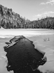 Monochrome shot of a frozen lake against the snowy forest