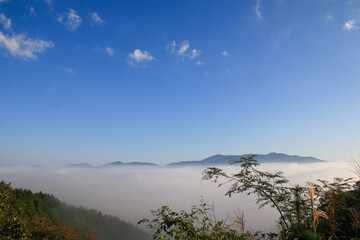 かめおか霧のテラスからの雲海