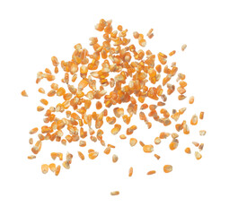 Corn dried seed grain fly in mid air. Yellow Golden corn seed falling scatter, explosion float in shape form line group. White background isolated freeze motion high speed shutter