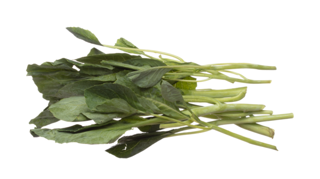 Kale fly in mid air, green fresh vegetable chinese kale falling. Organic fresh vegetable with eaten leaf of chinese kale, heap close up texture. White background isolated freeze motion high speed