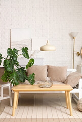 Interior of modern living room with sofa, table and green houseplant