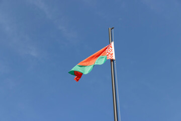 wild birds ducks while feeding at sunset