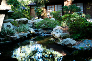 japanese garden pond