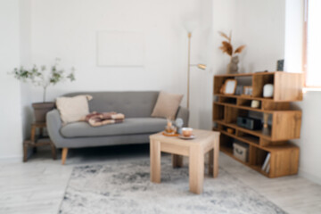 Blurred view of living room with grey sofa, warm blanket and cup of tea on coffee table