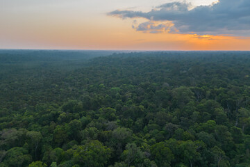 Fototapeta na wymiar Aerial view of an area of untouched brazilian Amazon rainforest captured by drone at the sunset
