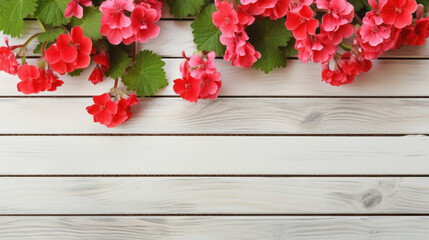 Fototapeta premium Geraniums on Wooden Background, Beautiful Flowers, Summer Floral, Copy Space. Generative AI