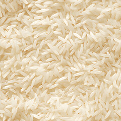 Sticky rice grain photographic texture seamless pattern