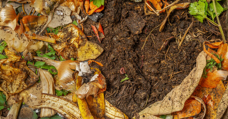 organic living compost in the detail. You can see biodegradable kitchen waste, wood ash, paper, soil and earthworms