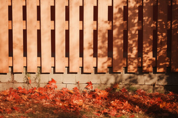 wood wall and maple leaf in autumn concept