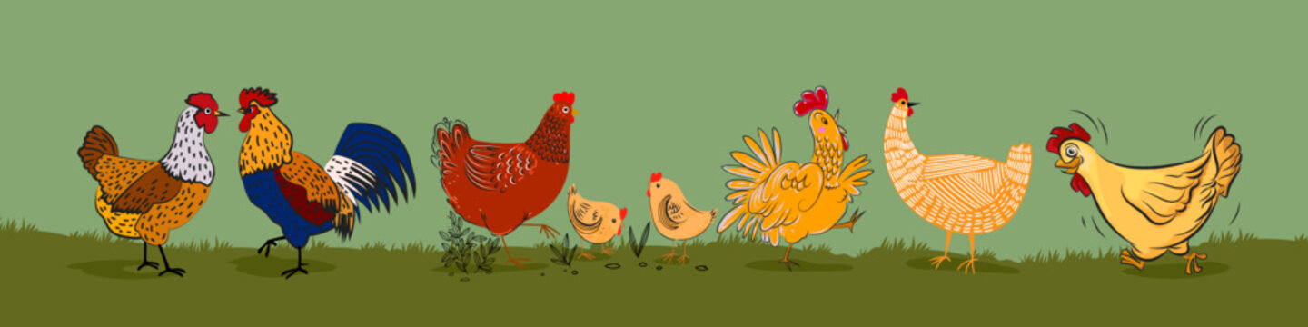 Cartoon chicken hen rooster character icon poultry farm animal collection vector illustration.