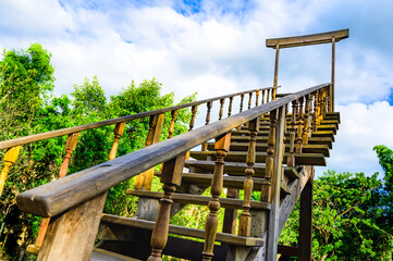 Retro wooden stairs in a shady garden
