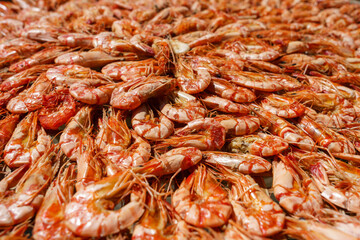 Shrimp drying outside under the sun