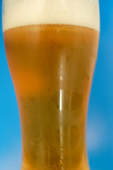 beer lager in a glass
