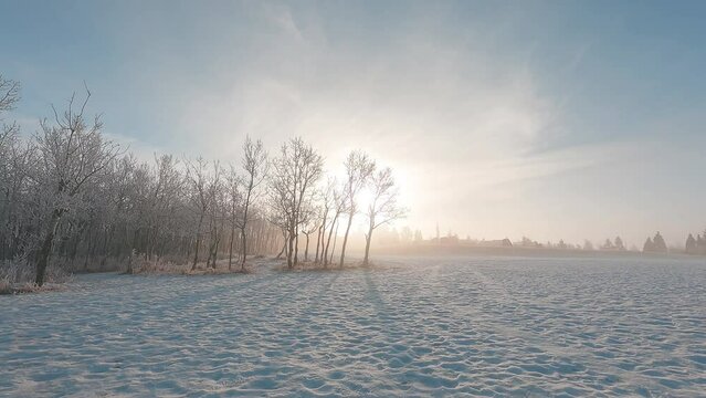 timelapse 4k footage b-roll of shadow of trees under bright sun in winter sunny day. movement of nature sun traveling in daytime. beautiful sunlight in white snow cold season in north. solar energy