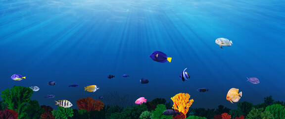 Fototapeta na wymiar Beautiful corals and different fishes in sea, banner design. Underwater world