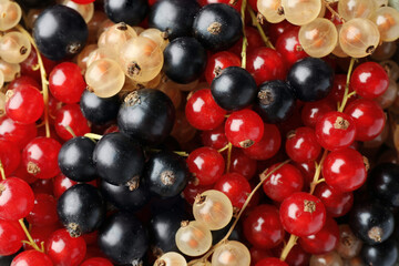 Different fresh ripe currants as background, top view