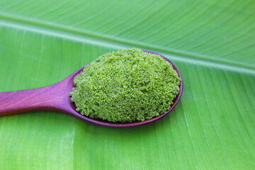 Wolffia globosa or swamp algae, water meal