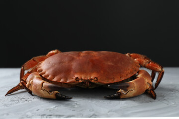 Delicious boiled crab on grey textured table, closeup