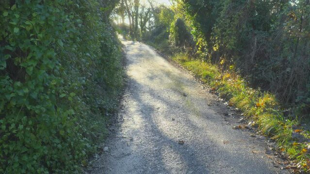 Deserted English country lane reveal bathed in early morning autumn sunlight. Half speed slow motion. Quarter stop mist filter.