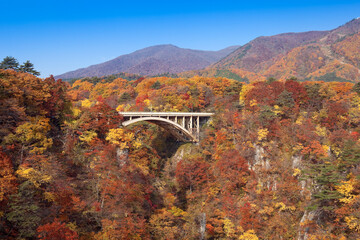 紅葉の鳴子峡と大深沢橋