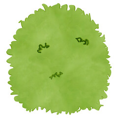 Plant bush drawing