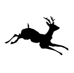Fototapeta premium winter forest antler deer