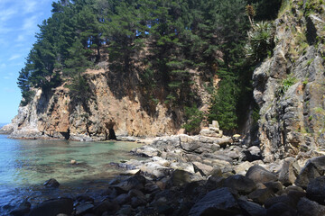 a beach and a cliff in southern Chile