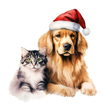 Cat and dog in santa hat isolated on white background. Watercolor illustration isolated on transparent background.