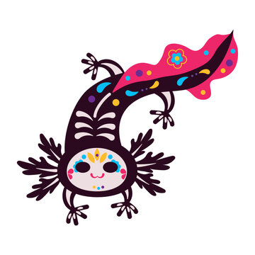 mexico animal axolotl