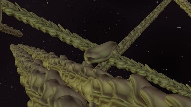 3D rendering of the actin cytoskeleton is essential for maintaining the shape and structure of cells