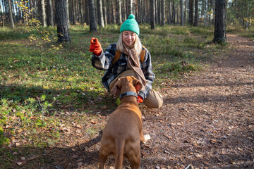 Smiling middle-aged pet owner interested in dog training spending pastime in pine forest. Female with scandinavian appearance engrossed in playing, giving commands to pedigree magyar vizsla puppy