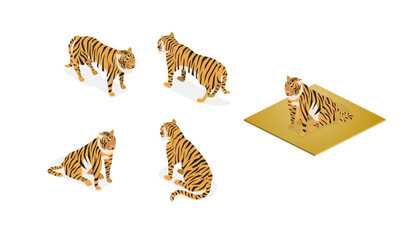 isometric, タイガー, 虎, 寅, とら, Tiger, 干支	 - obrazy, fototapety, plakaty