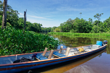 Naklejka premium Transport by river canoe in the Amazonian rainforest