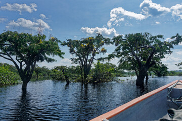 Obraz premium Transport by river canoe in the Amazonian rainforest