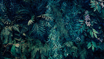 Fototapeta na wymiar Creative nature green background, tropical leaf banner or floral jungle pattern concept.