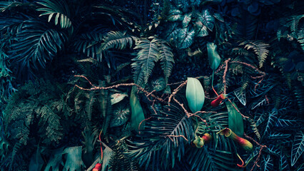 Obraz na płótnie Canvas Creative nature green background, tropical leaf banner or floral jungle pattern concept.
