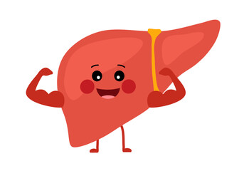 Funny strong healthy liver cartoon character in flat design on white background.