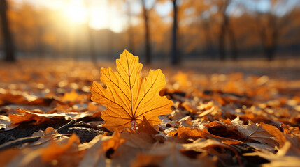 Naklejka na ściany i meble autumn leaves on the ground HD 8K wallpaper Stock Photographic Image