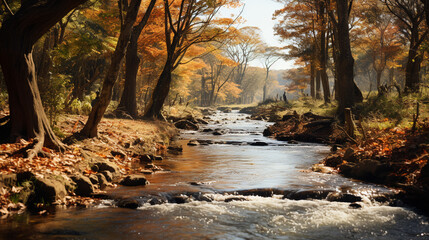 stream in the forest HD 8K wallpaper Stock Photographic Image