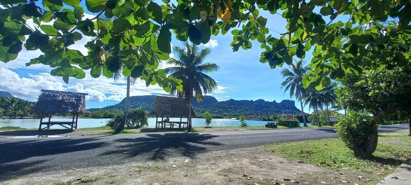 Morning in Micronesia