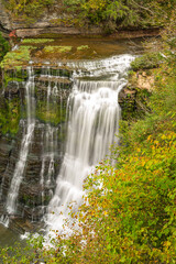 waterfall in the forest
