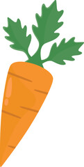 Carrot illustration