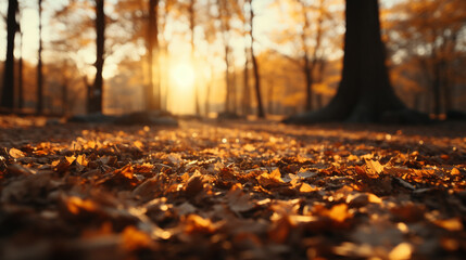 Naklejka na ściany i meble autumn in the park HD 8K wallpaper Stock Photographic Image