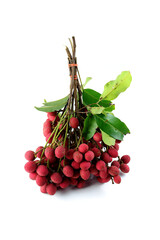 Nephelium hypoleucum 2