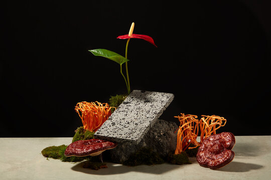 Take advertising photos for product with herbal ingredient. On the black background, ganoderma mushroom and fresh cordyceps decorated with stone, moss, leaves and red flower. Creative concept