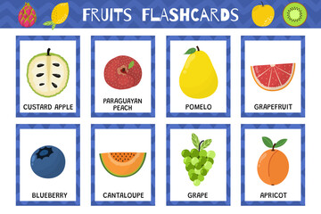 Fruits flashcards collection. Healthy food flash cards set for school and preschool. Blueberry, cantaloupe, grape and more. Vector illustration
